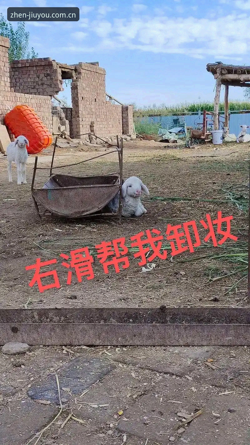 九游官方中文站苹果版 九游老玩家用卢卡库这事悟出的一个扎心道理——把悲伤和状态都整明白了再上场